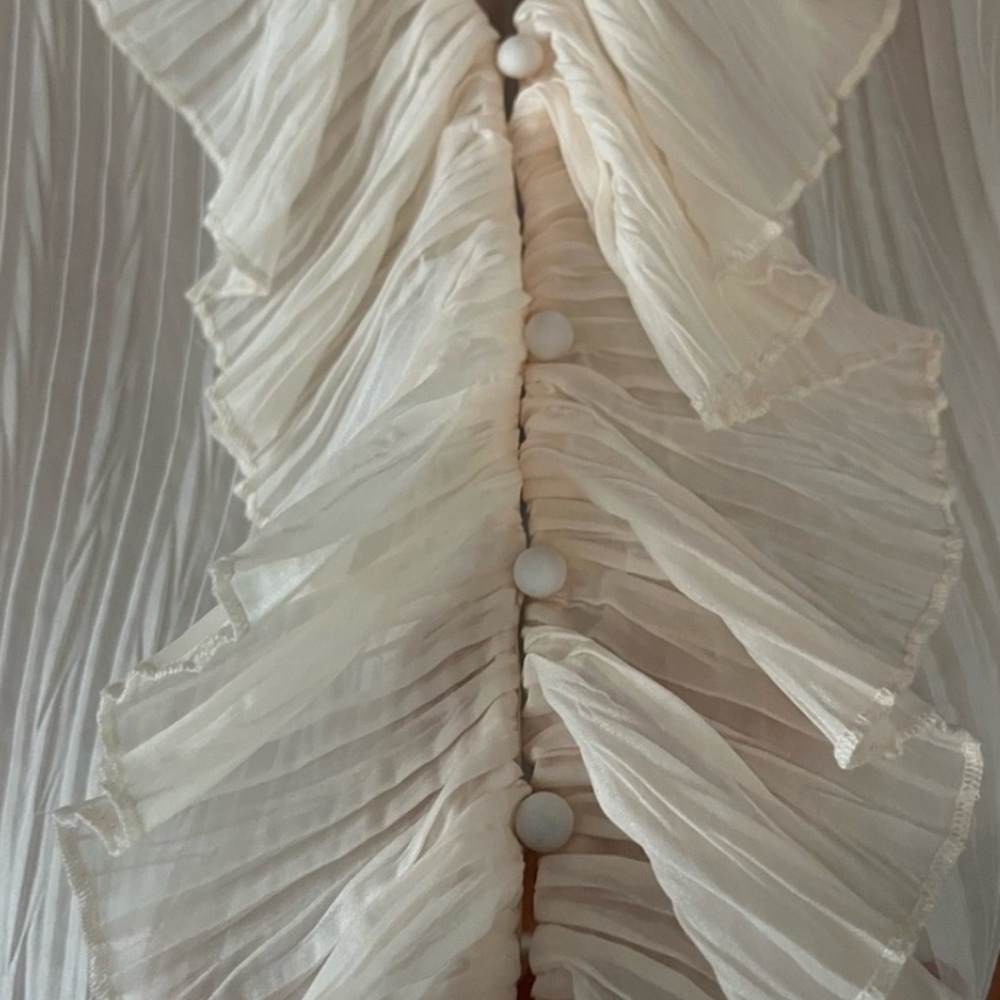 New Zara Plisse Cream Blouse - Picture 5 of 10